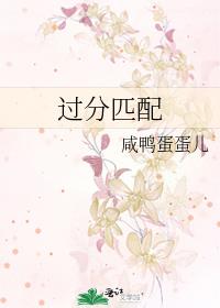 过分匹配