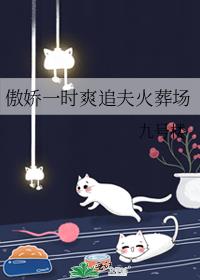 傲娇一时爽追夫火葬场