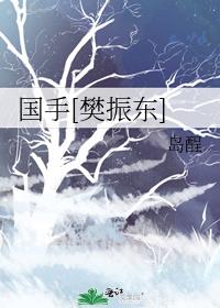 樊振东王楚钦直播
