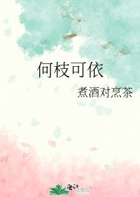 何枝可依